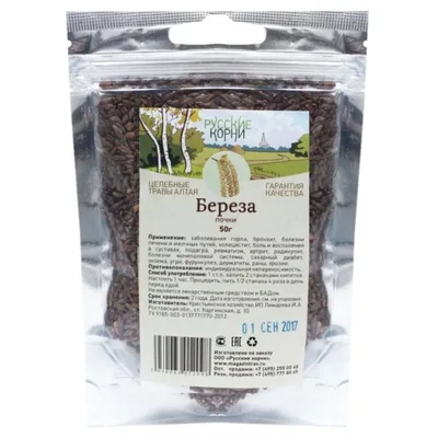 Русские корни Береза почки